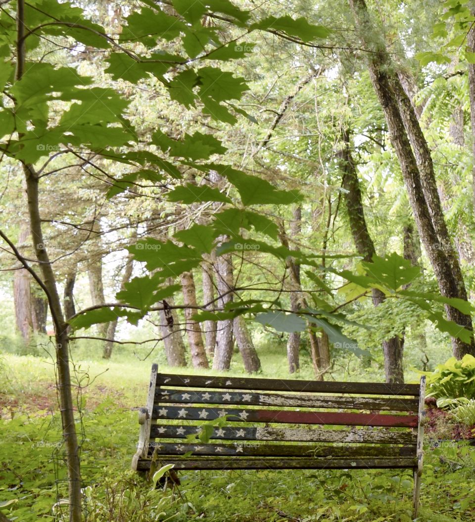 American Flag painted onto a bench in a forest setting