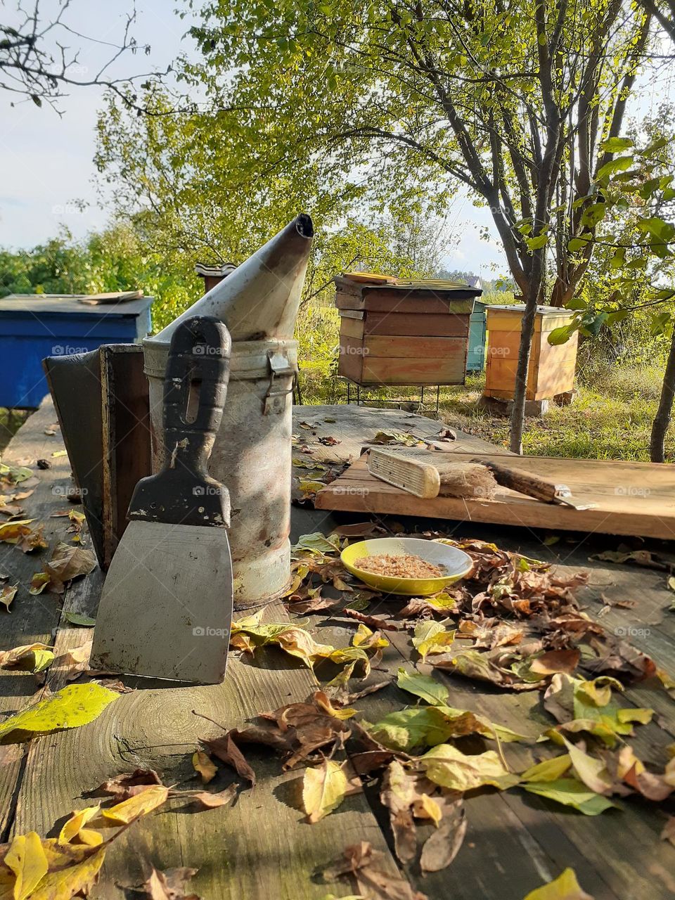 Grandfather's apiary in a Ukrainian village