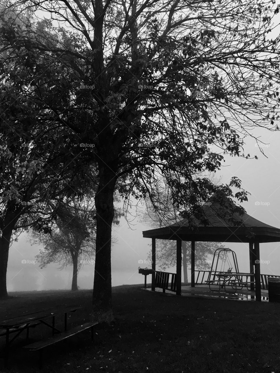 Foggy morning at East Lake 6