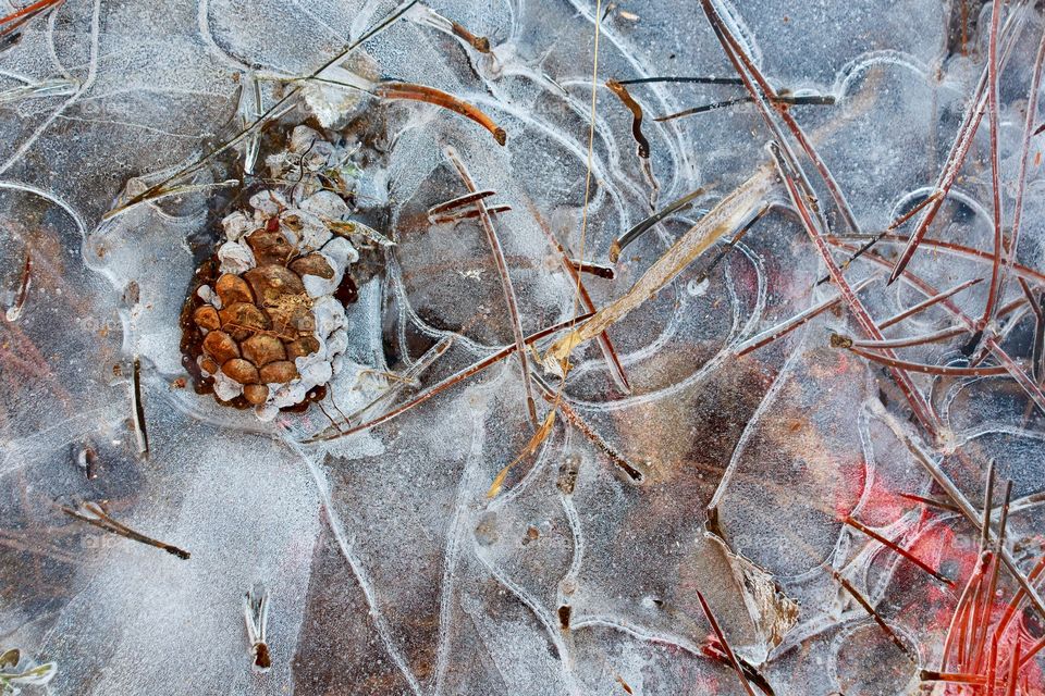 Close up of frozen cone and sticks in water of mountain stream