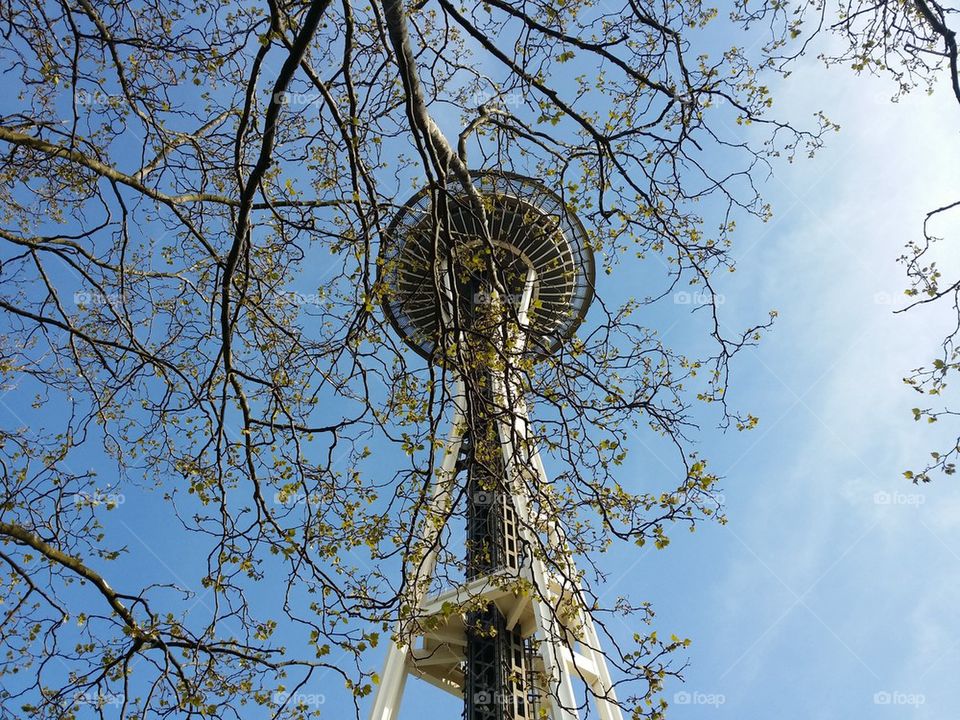 Springtime Seattle Space Needle