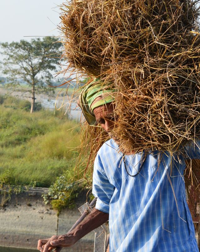 farmer