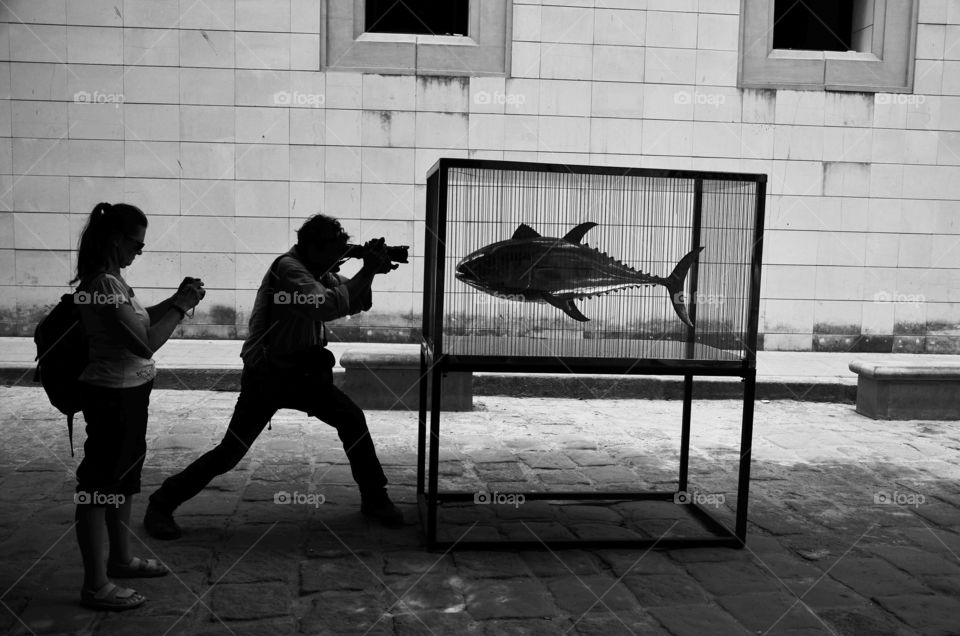 Exhibition of fish sculptures in metal in Havana