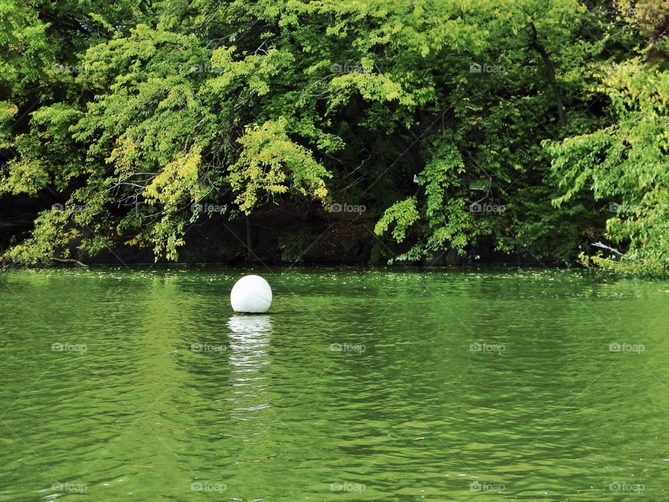 Buoy floating in a pond