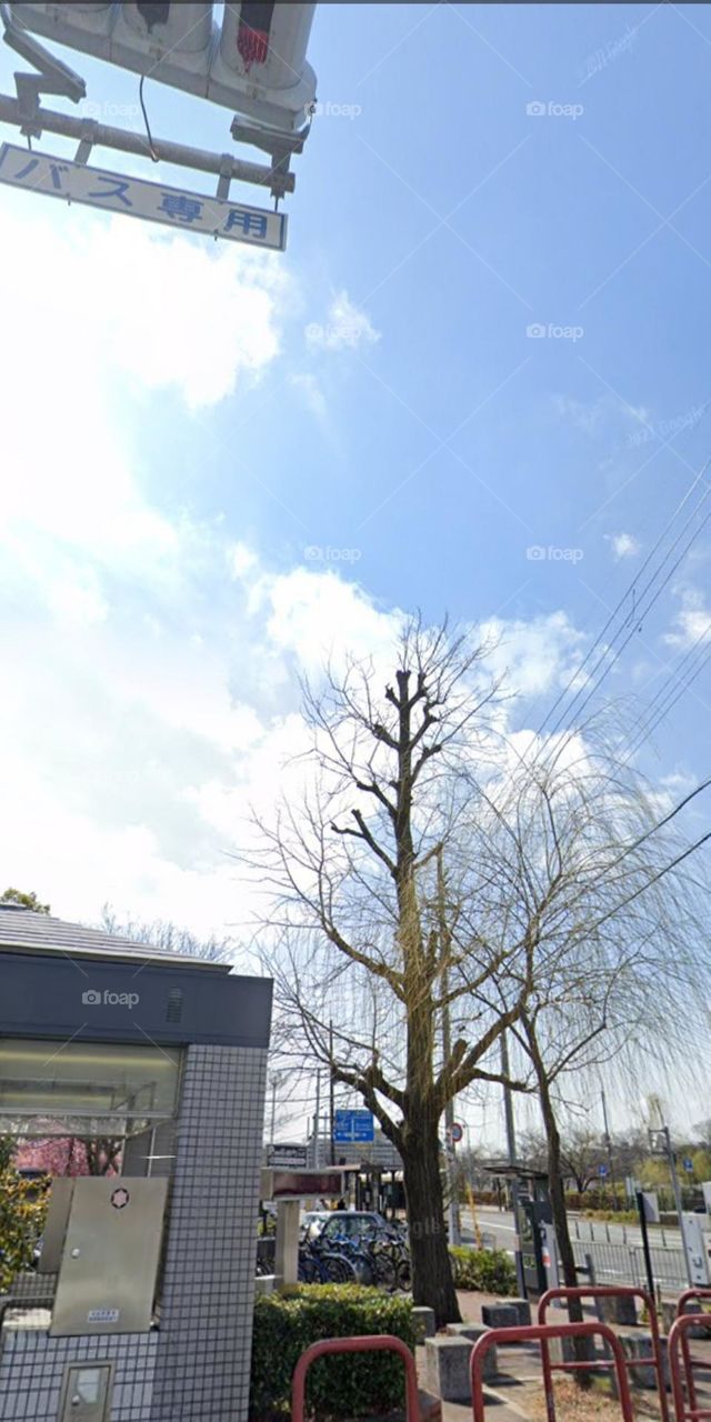 Trơ trội mình em.