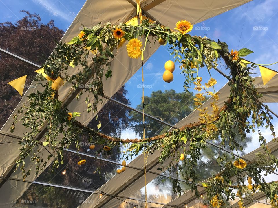 Pretty summer ceiling decoration with flowers, lemons and leaves inside a marquee tent for a summer party 