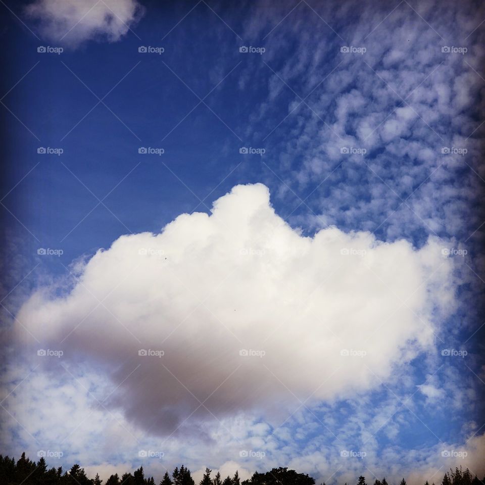 cloud lover