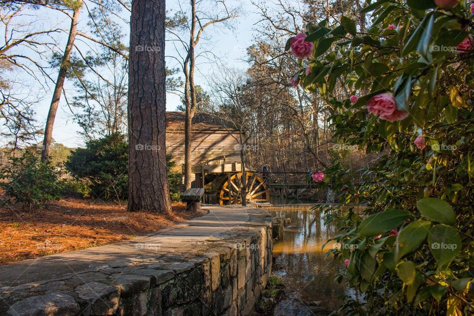 Georgia Stone Mountain Waterwheel