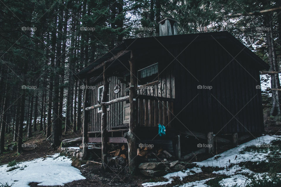 A hidden cabin deep in the Norwegian forest. 