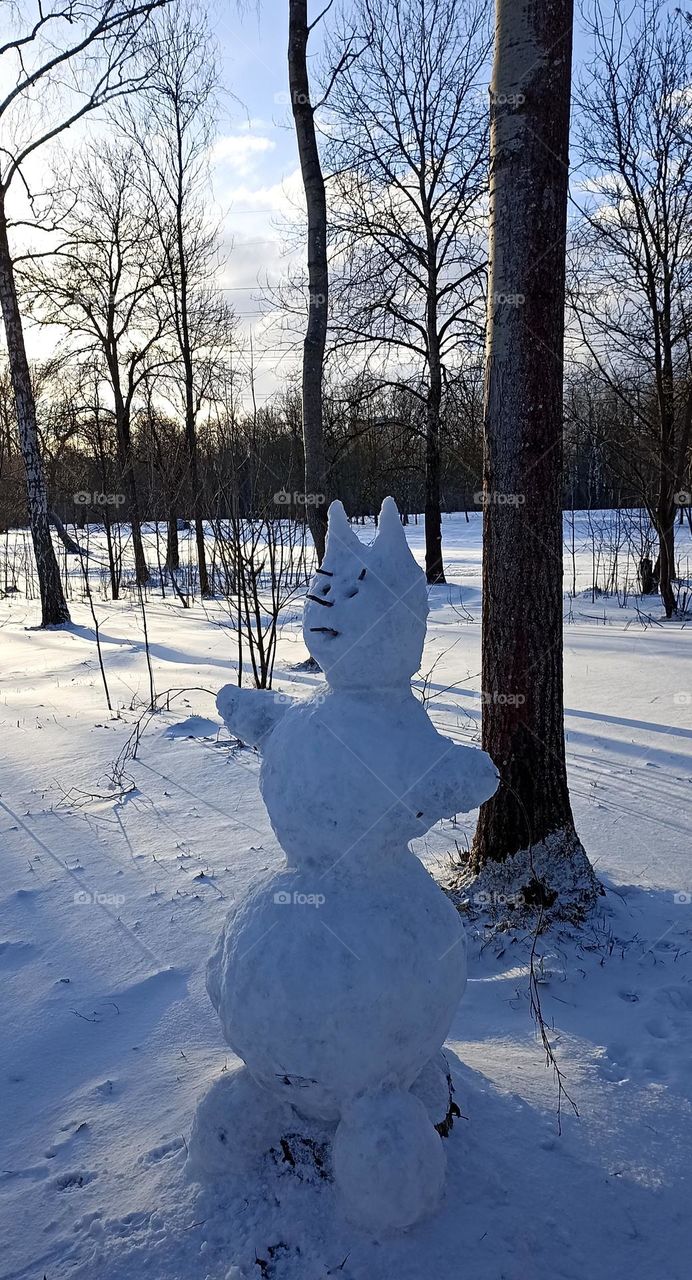 winter landscape in the park