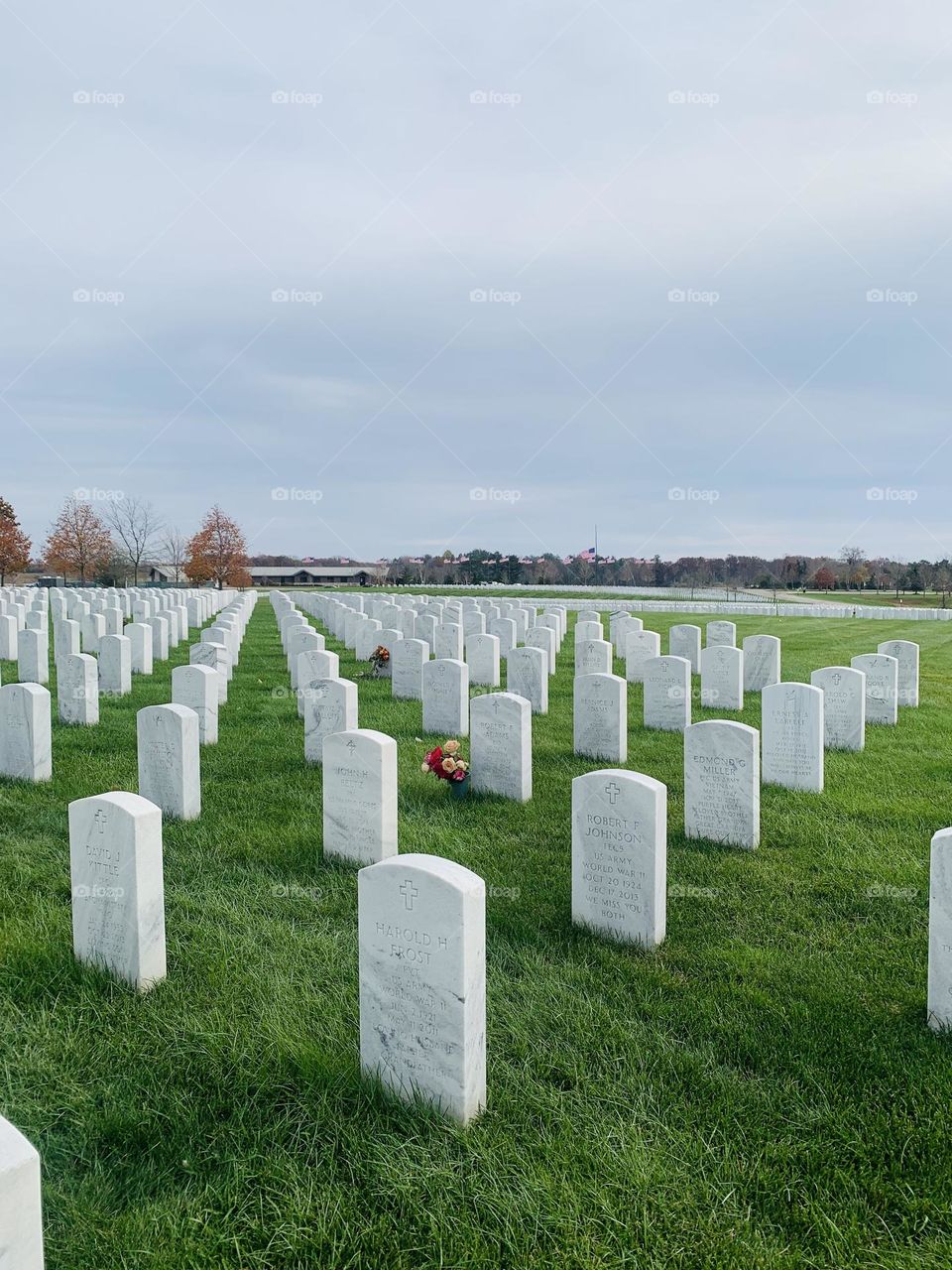 Military cemetery. Rows of white head stones