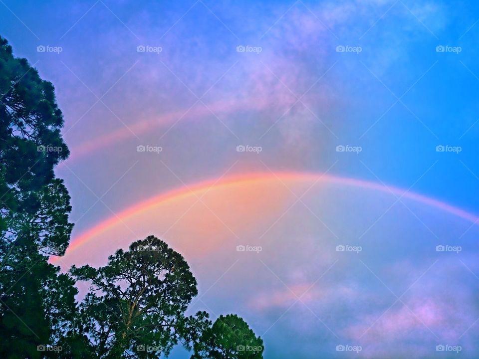 Summer Rainbow 