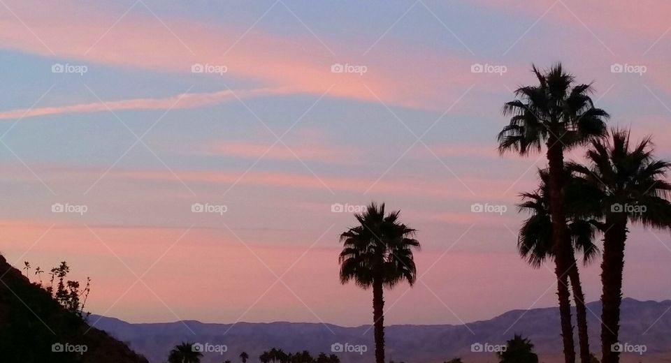 Desert Sunset. Palm Springs 