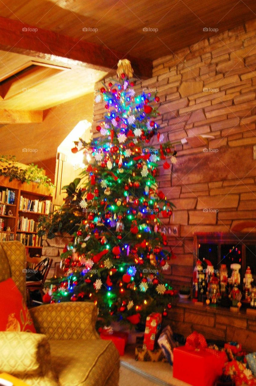 Christmas  tree 2017