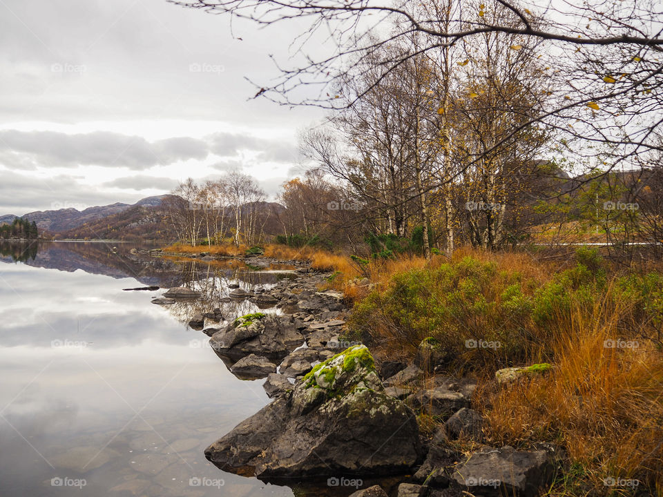 Autumn by the lake. 