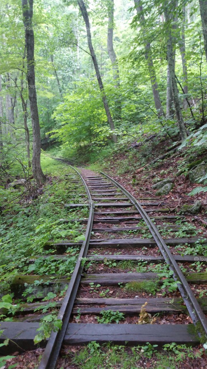 Blue Ridge Trail
