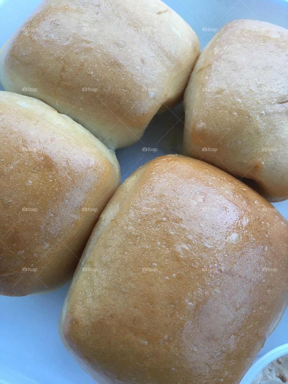 Dinner Rolls