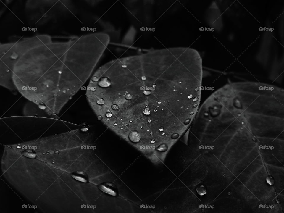 Raindrops Keep Falling On My Head