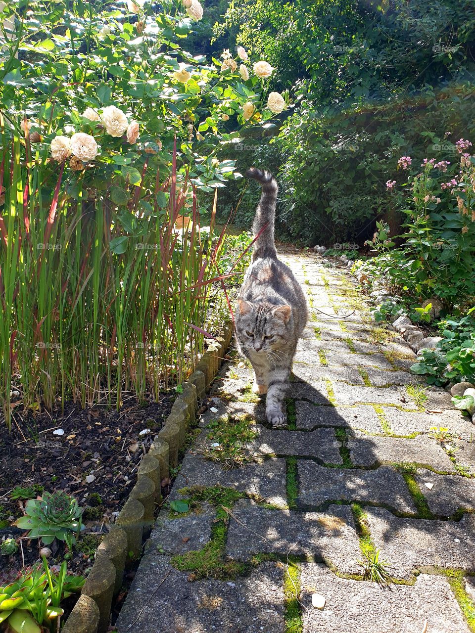 komme schon , warte !!!