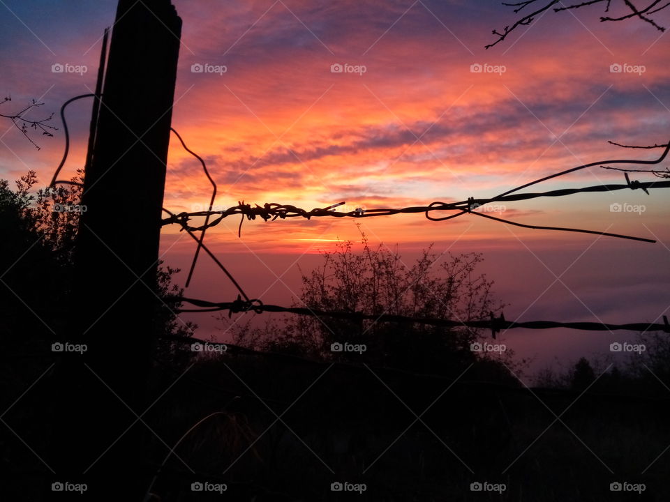 Fence Fire Sunset