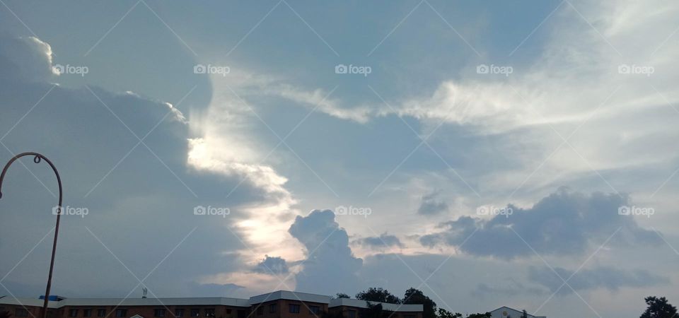 The natural Artist 💕