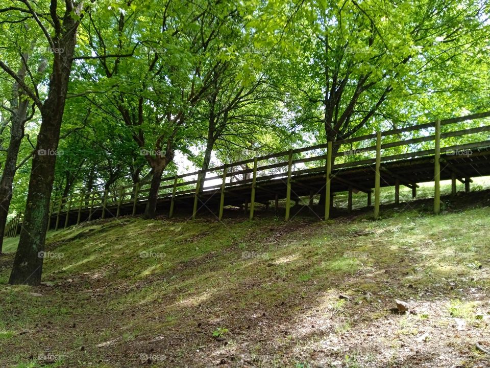 a footbridge on the middle of the forest