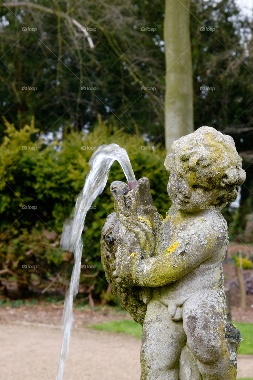 Fountain. Garden 