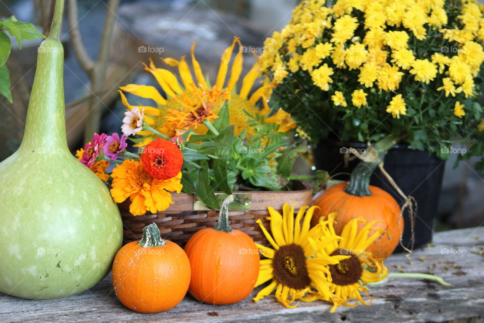Halloween Fall Pumpkins, Gourds, & Flowers Display