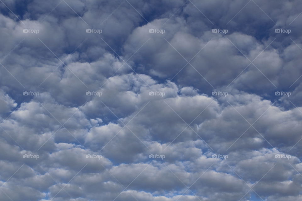 No Person, Nature, Weather, Downy, Summer