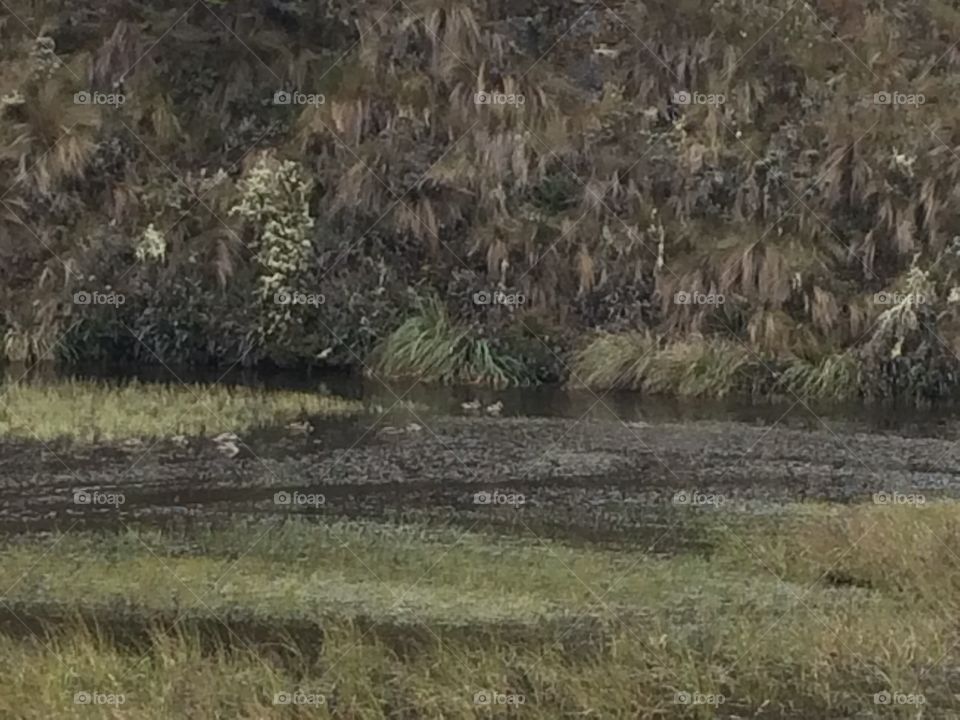 Parque nacional cajas 