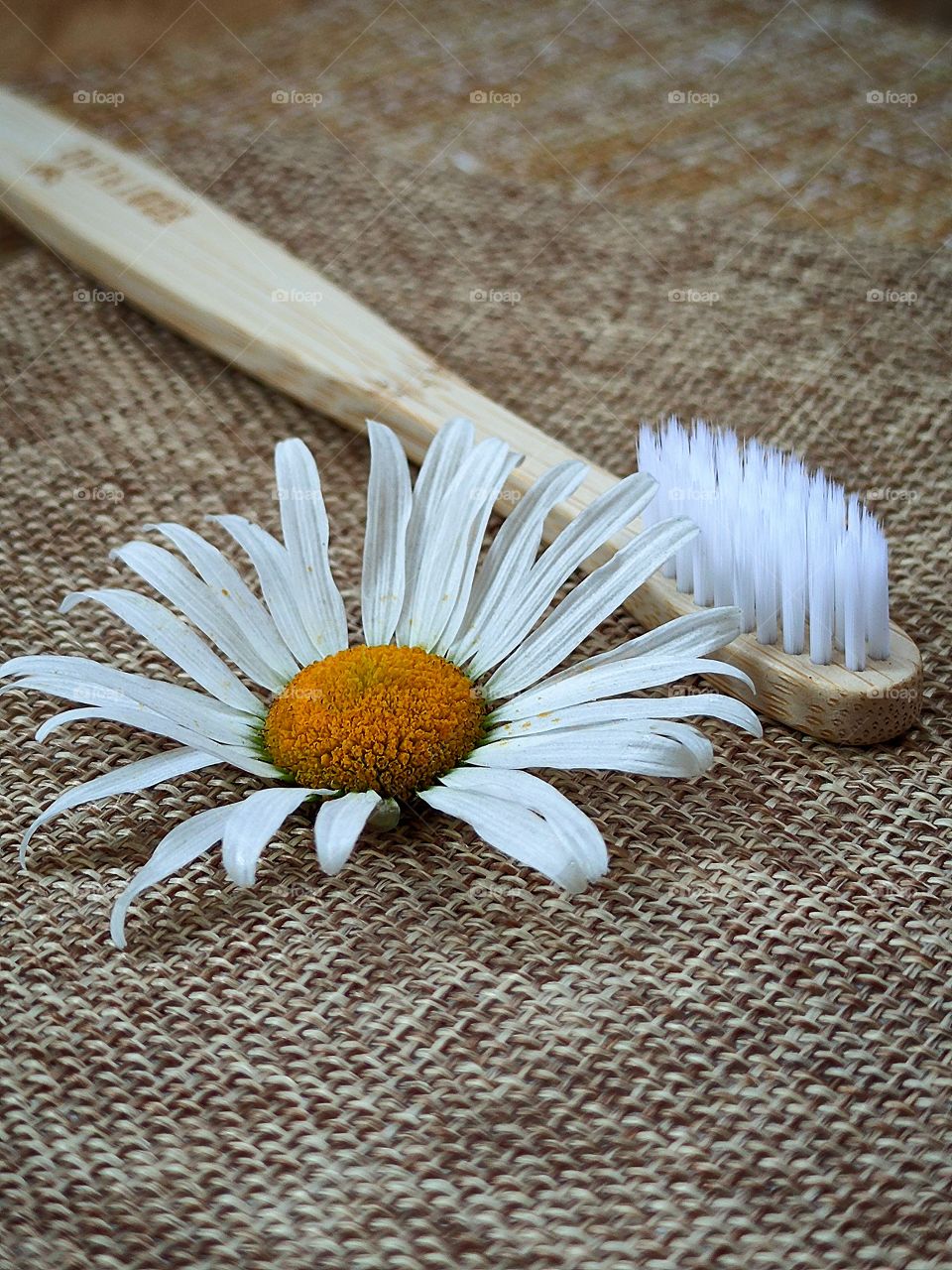 Wooden toothbrush and chamomile