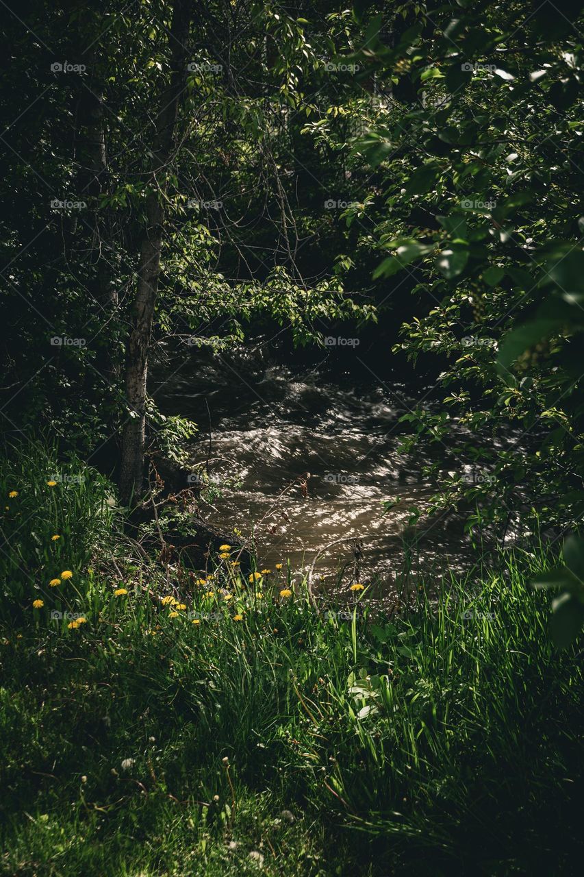 Chaotic photo in the heart of the ditch.