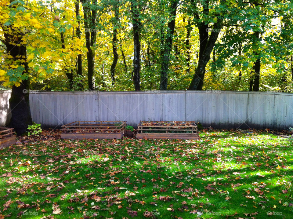 Scenic Backyard View. Scenic Autumn Backyard Home View in Washougal, Washington 