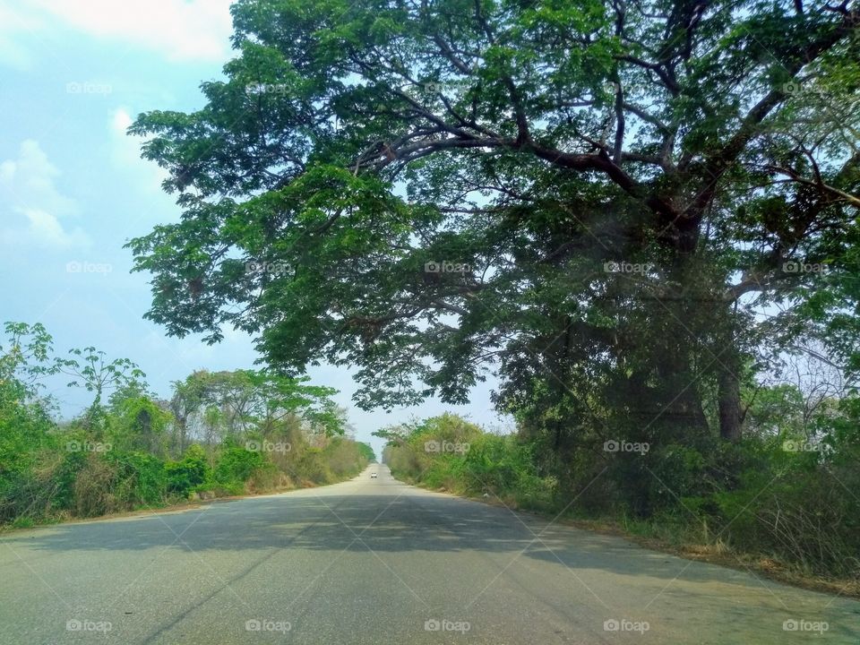 sigue tus sueños, no importa la distancia que recorras si eres perseverante se harán realidad.
