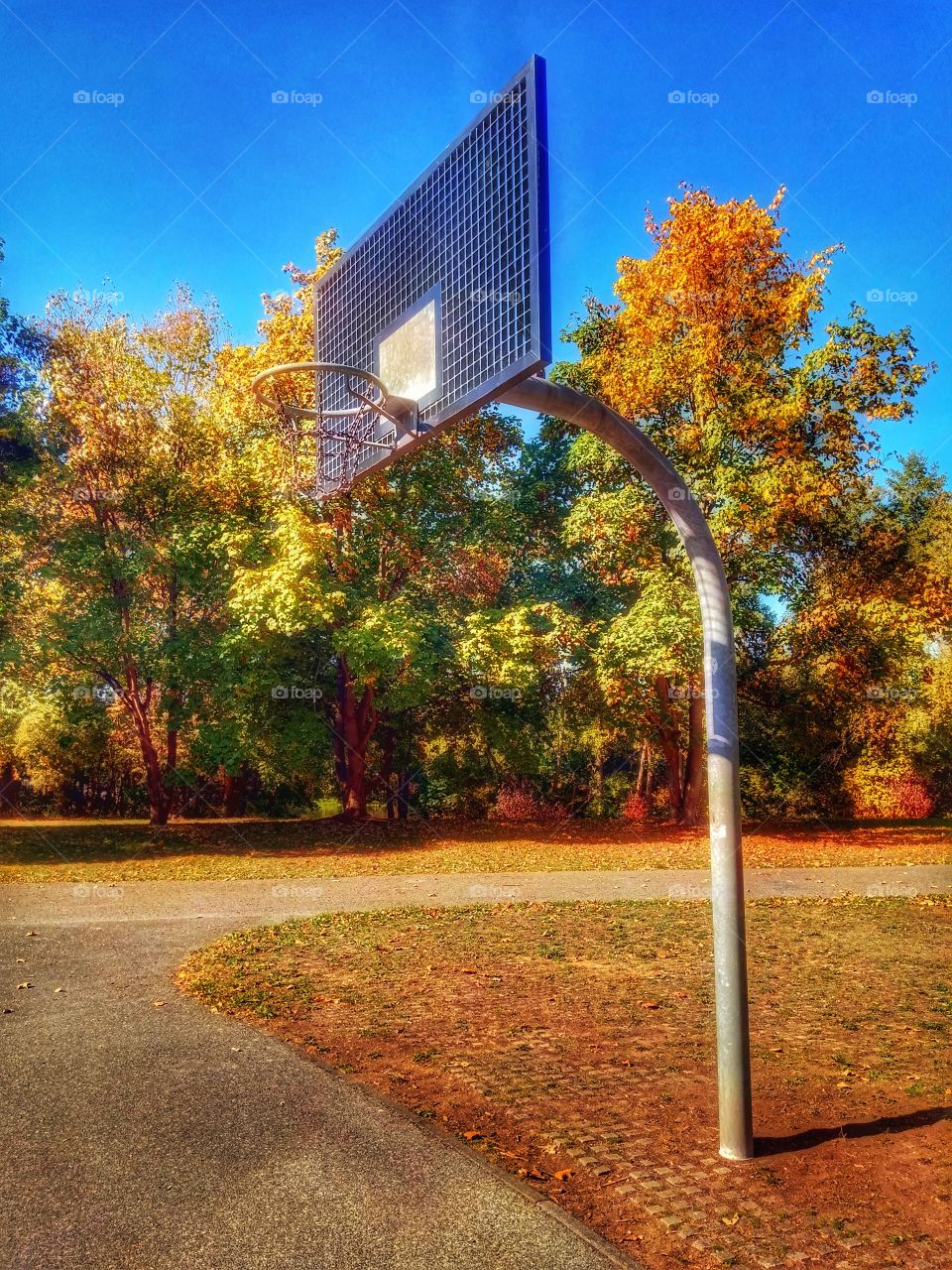 Basketball