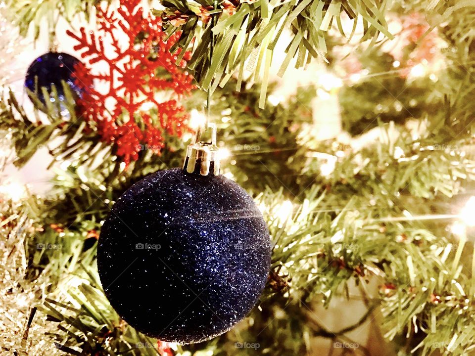Christmas, lights, Christmas tree
