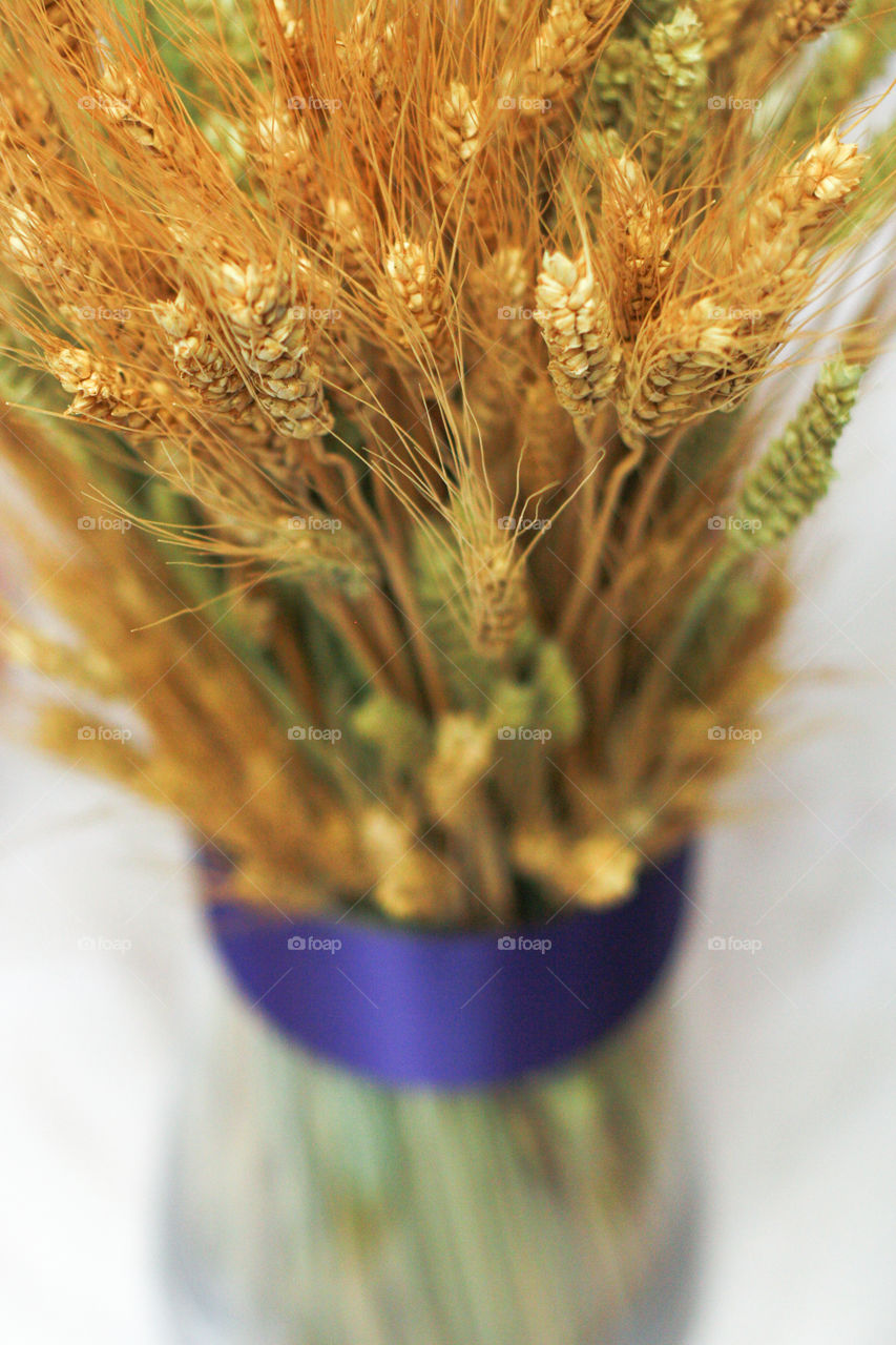 A vase filled with a bouquet of wheat