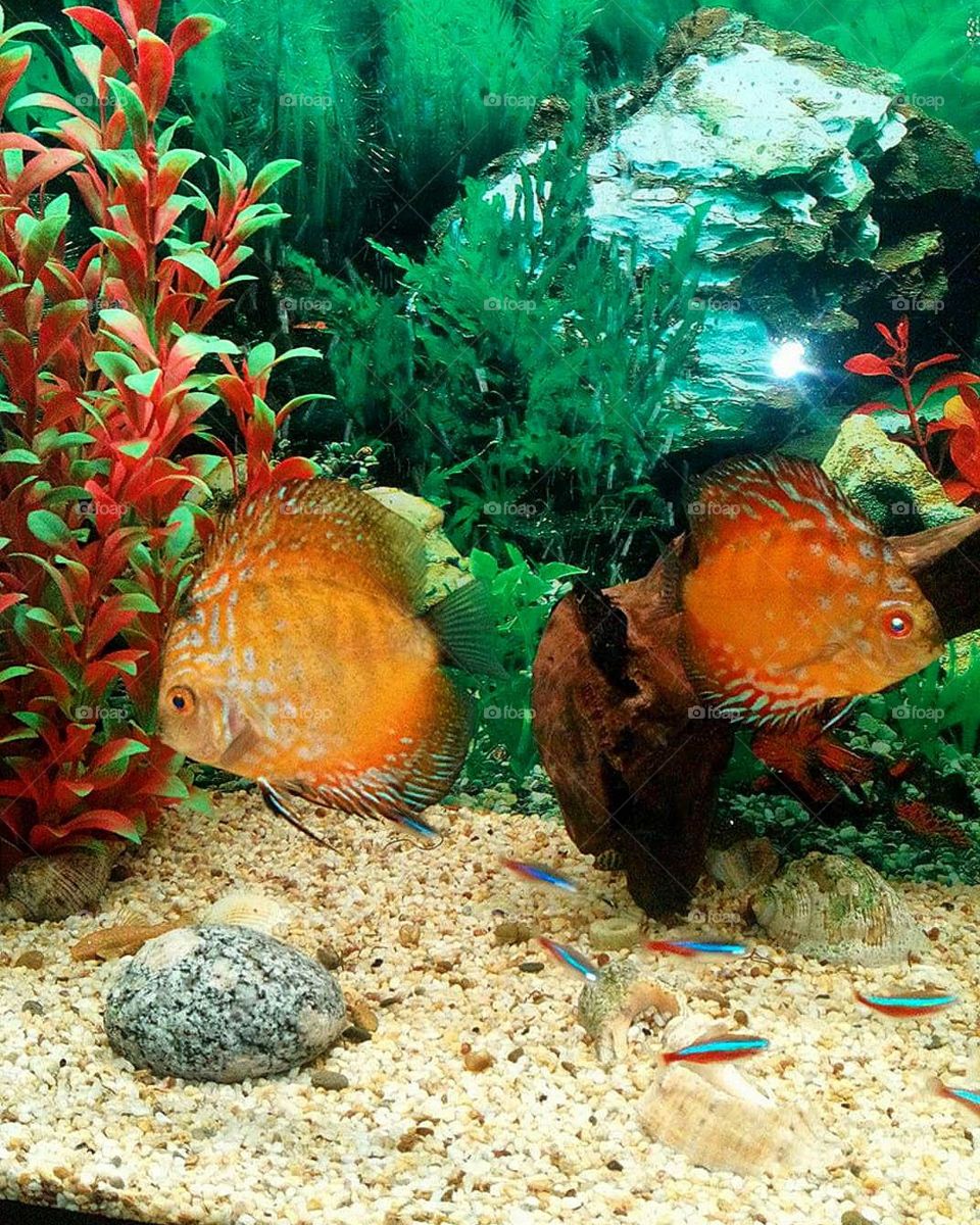 In different directions