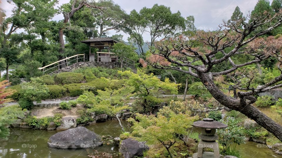 Traditional Japanes Garden