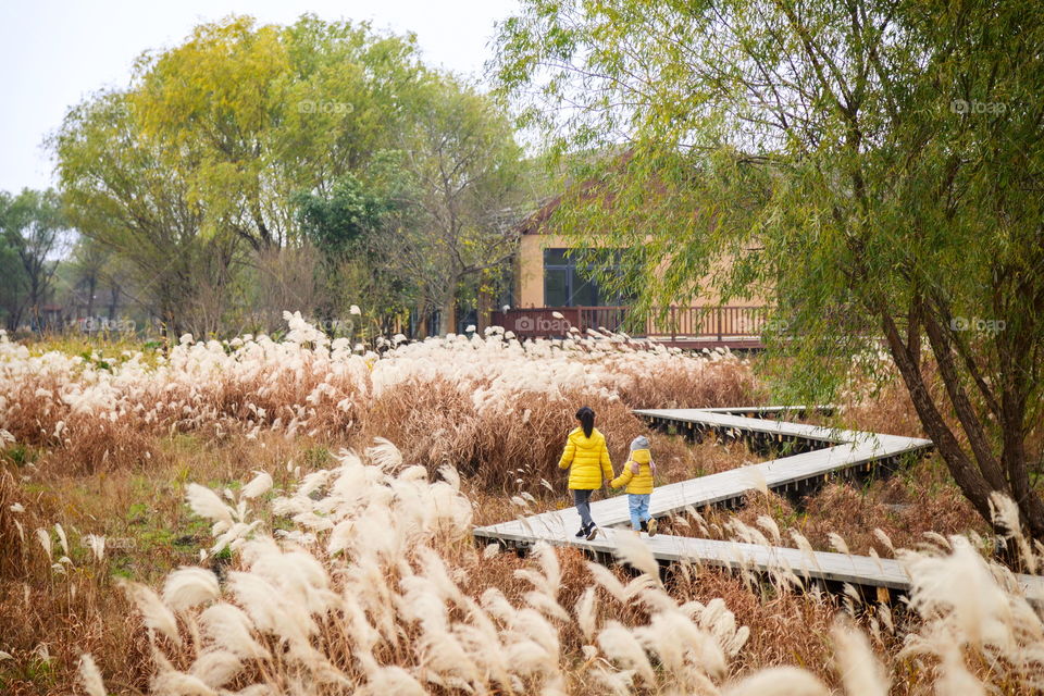 Two little girl from behind walking outdoor 