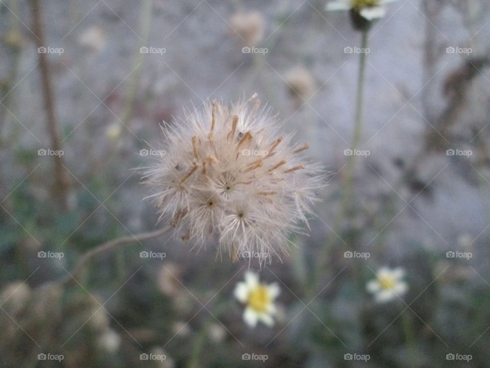 DON'T KNOW WHAT IT IS????!????!?
BUT IT'S GOOD!!!!!!