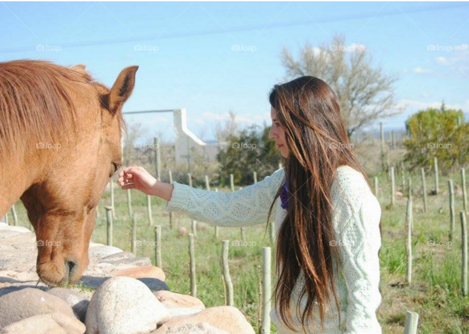 la chica y su caballo al sol