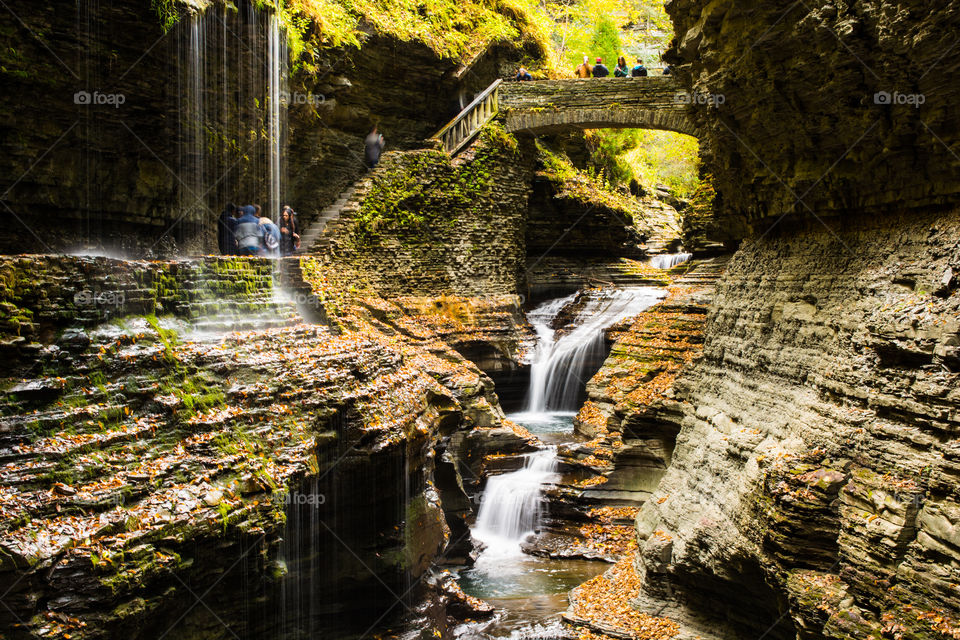 Fall, Water, No Person, Waterfall, River