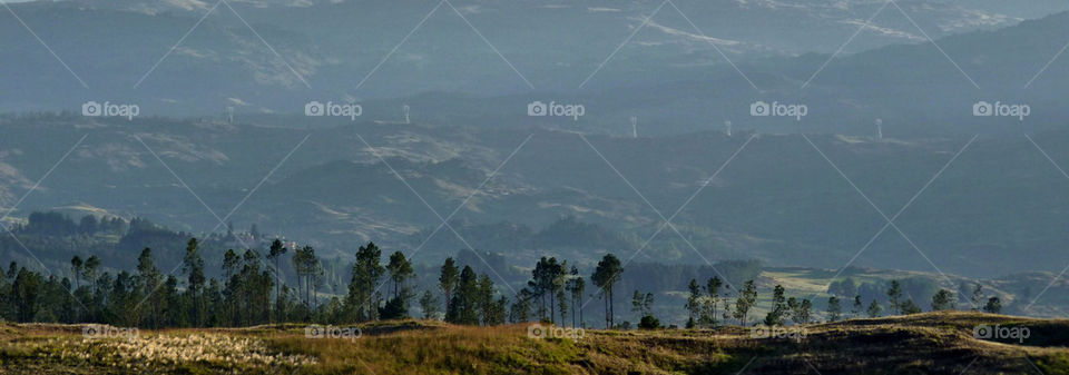 landscape mountain hill pinewood by liondb1