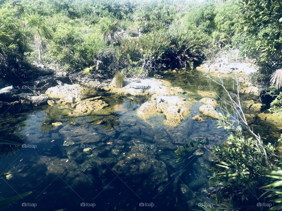 Cenote nature Mexico scenery 