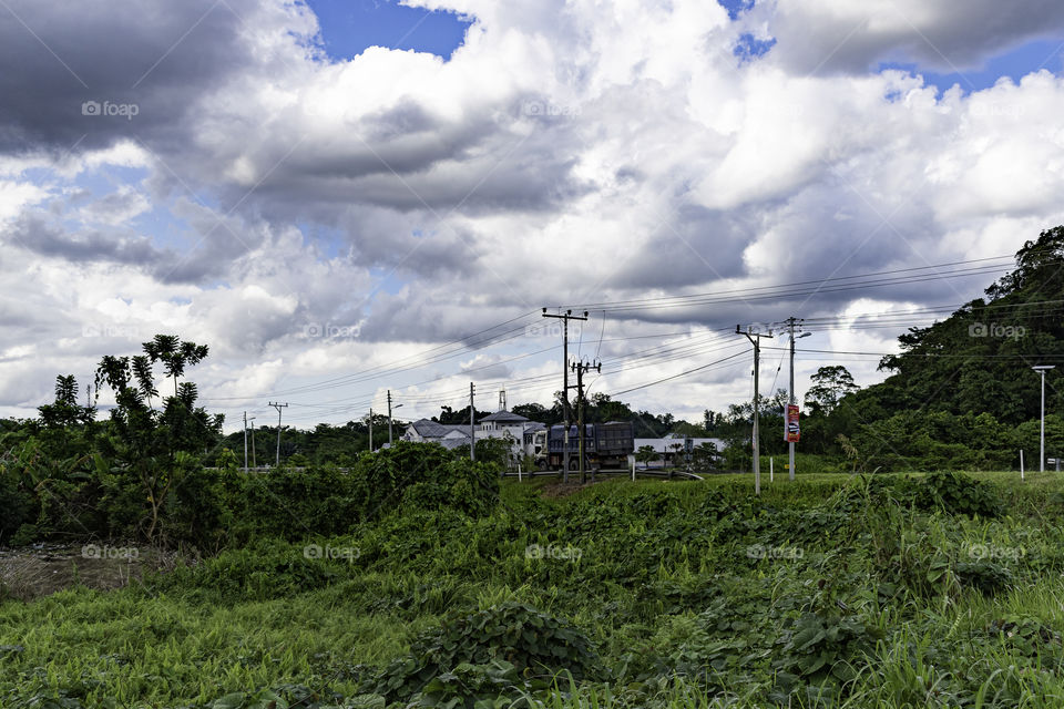 beautiful scenery by the countryside