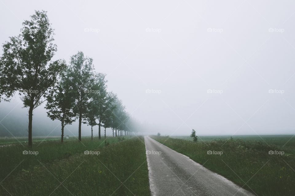 Straight road on green landscape in foggy day
