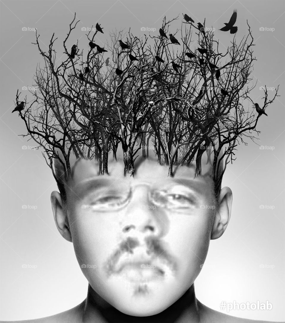 Silhouette of birds on tree over man's head