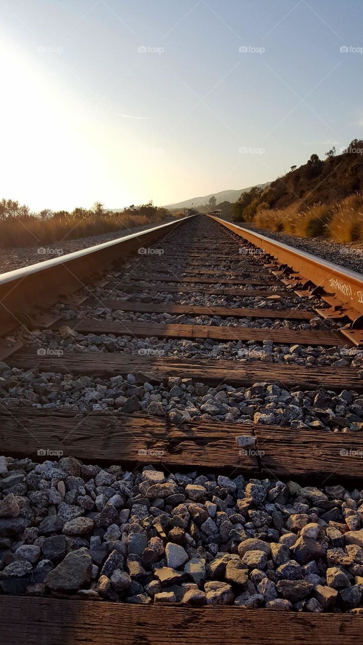 Rails at sunset