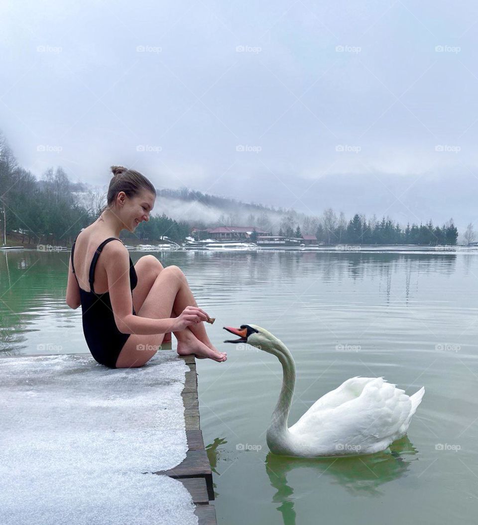 Young girl feeds wild swan on pier by winter lake